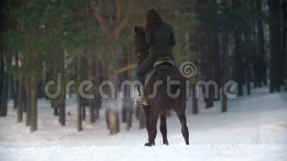 美丽的长发女人骑着一匹黑色的马穿过森林里的雪独立的种马跳跃着视频的预览图