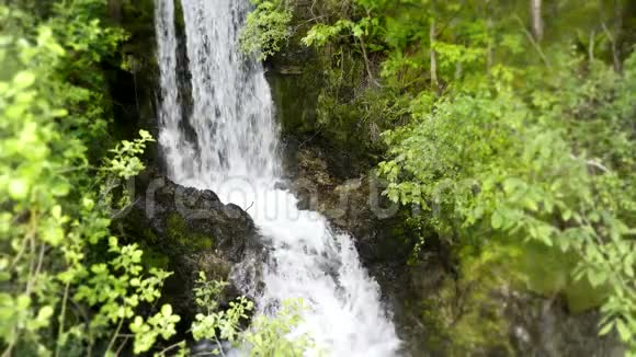 峻岭4k稳定的野生自然景观拍摄的小河瀑布跑在绿树山崖视频的预览图