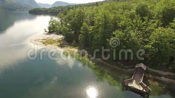 空中斯洛文尼亚博欣吉美丽的山湖视频的预览图