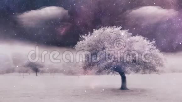 超现实景观中的紫树视频的预览图
