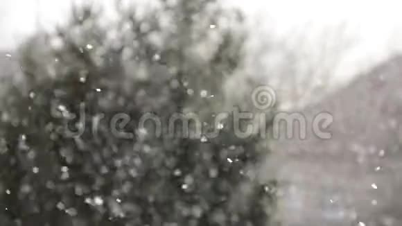 雪花般的抽象与树背景的离焦雪落在背景下模糊的冬季景观视频的预览图