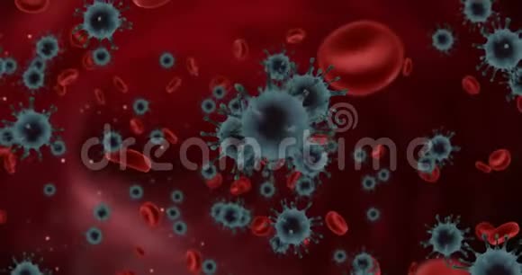 3D绘制动画冠状病毒和血细胞共同vid19流感在动脉背景上流动作为危险流感菌株病例视频的预览图