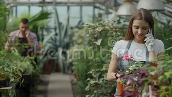 穿着围裙戴着手套的年轻开朗的女人一边打电话一边植物一边在温室里松开花视频的预览图