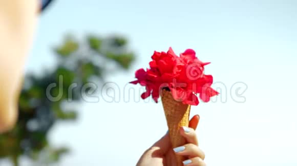 红花和华夫饼锥组成视频的预览图