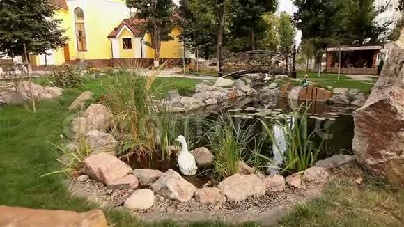 公园里的一个小池塘装饰的池塘池塘上的观赏桥水中的睡莲背景视频的预览图