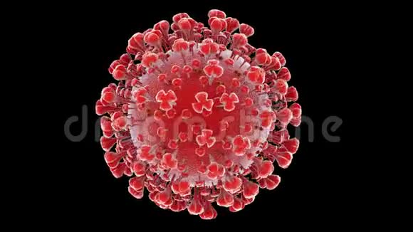 白色背景上的模型冠状病毒covid19可供参考视频的预览图