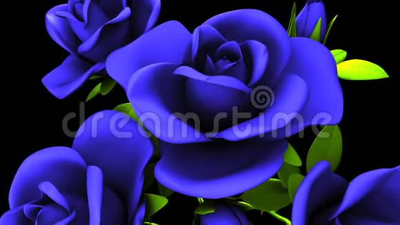 蓝色玫瑰花束在黑色背景上视频的预览图