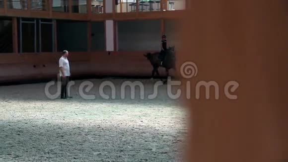 骑师少女在马术训练室打圈视频的预览图