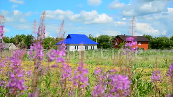 夏天野花背景下的乡村房子俄罗斯视频的预览图