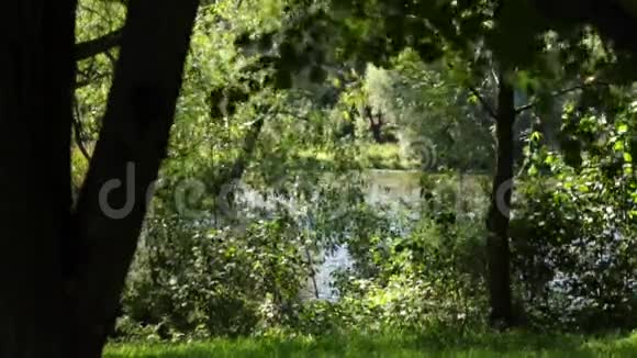 可爱的夏日河景视频的预览图