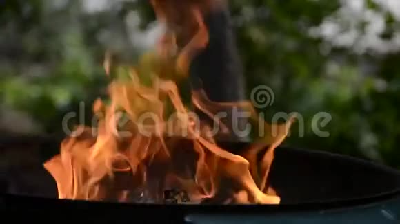 夏天人们在花园里的烧烤架上把木头扔进火里视频的预览图