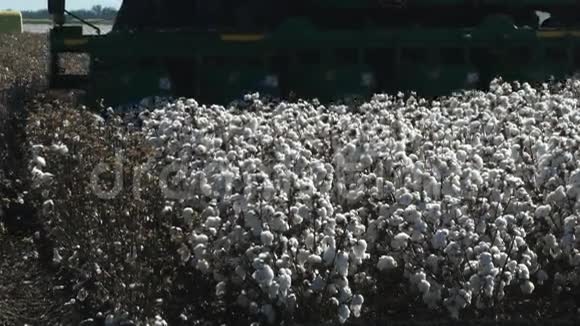 棉花收割机特写视频的预览图