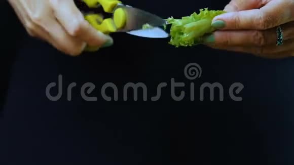 那个女人用剪刀剪生菜的叶子视频的预览图