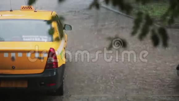 雨水倾泻在出租车和人行道上一棵树的枝干在风中摇摆视频的预览图
