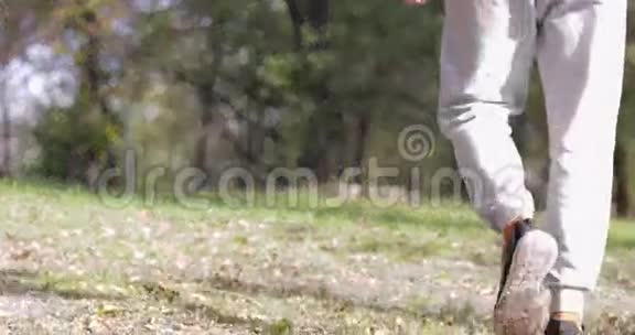 青少年团体漫步森林两对情侣牵手户外早秋公园视频的预览图