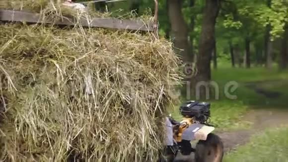 一个人骑着摩托车在森林里拖着干草堆视频的预览图