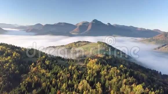秋天雾蒙蒙的景色笼罩着空中的早晨美丽的金色慢速飞行视频的预览图