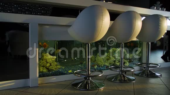 酒吧柜台与椅子在空舒适的餐厅与水族馆白条椅站在白条柜台附近视频的预览图