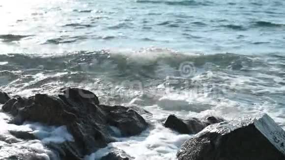 在海边浪荡视频的预览图