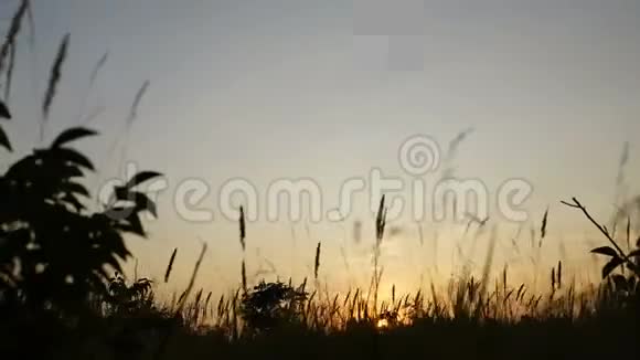 美丽的日落到夜间过渡的田野4KUHD延时视频的预览图