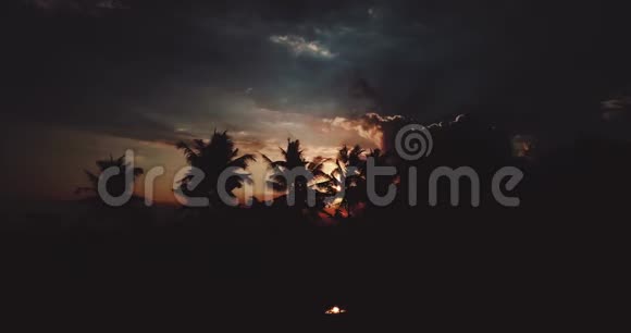 令人惊叹的多云日落的空中景色棕榈树的轮廓视频的预览图