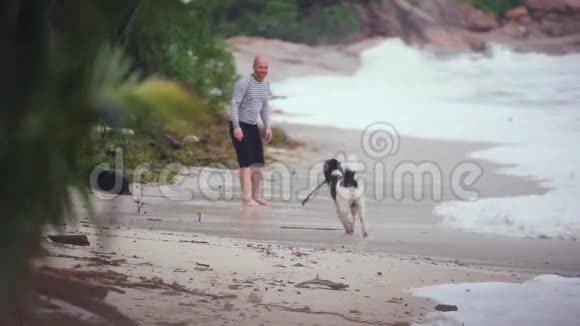 快乐的年轻英俊的男人在暴风雨的天气里玩狗和粘在热带海滩上1920x1080视频的预览图