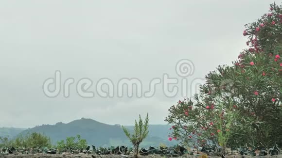 丘陵乡村景色绿色植物和多云的天空视频的预览图