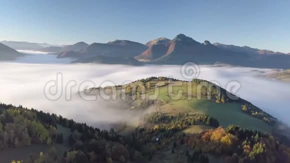 秋天雾蒙蒙的景色笼罩着空中的早晨美丽的金色慢速飞行视频的预览图