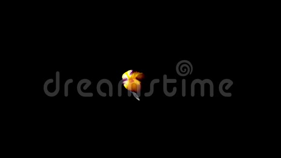 黄色番红花藏红花加兰花开花延时录像顶部视图视频的预览图