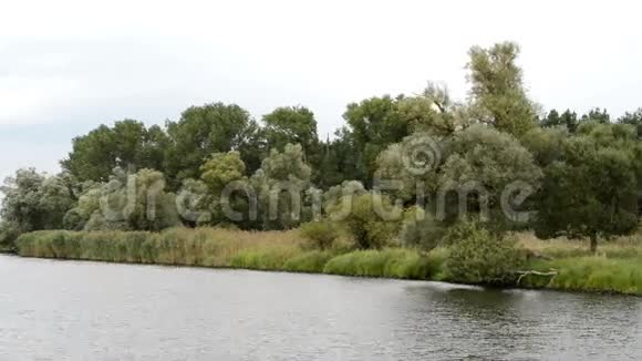 沿着哈维尔河开着船小船经过典型的草地和柳树景观哈维尔兰地区地理视频的预览图