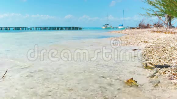 珊瑚岛的小码头视频的预览图