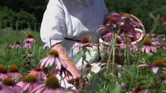 年长的女人撕破了朵朵鲜花视频的预览图