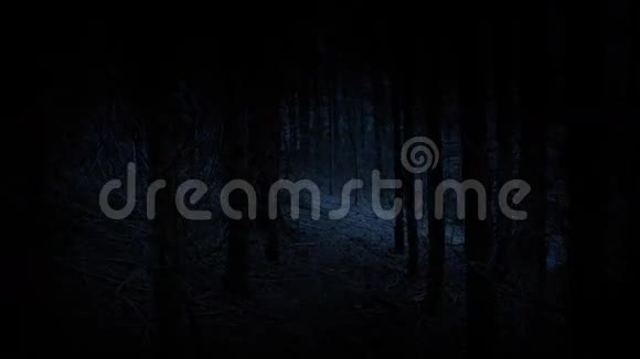 在黑暗中穿过可怕的森林视频的预览图