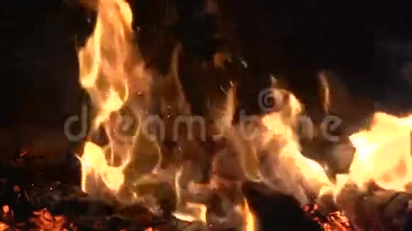 温暖舒适的火在家庭壁炉在砖火场燃烧的实木视频的预览图