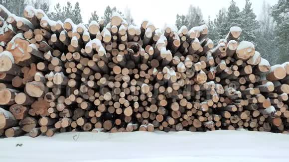 冬林中的一大摞原木视频的预览图