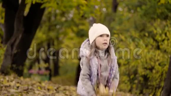 小可爱的女孩在秋天公园扔落叶视频的预览图