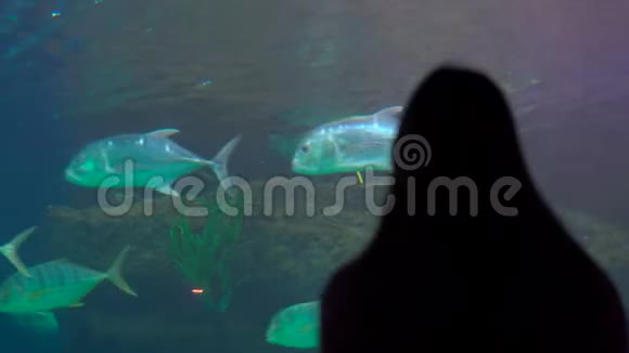 一个女人在海洋馆里观看一个巨大的水族馆里面装满了奇异的鱼视频的预览图