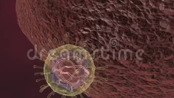 病毒攻击细胞动画视频的预览图