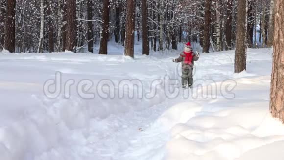 晴天在森林里快乐的小男孩滑雪视频的预览图