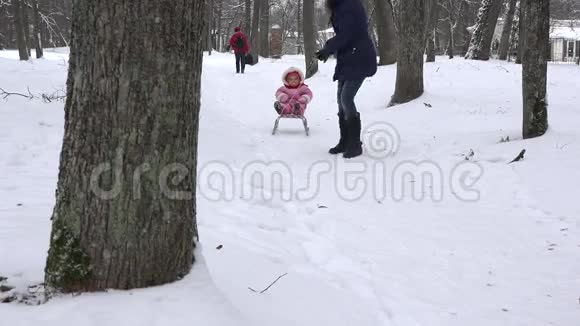 女人拉着婴儿在雪橇上穿过雪在公园树巷4K视频的预览图