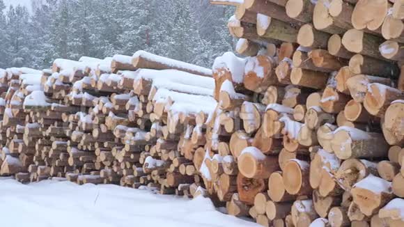冬林中的一大摞原木视频的预览图