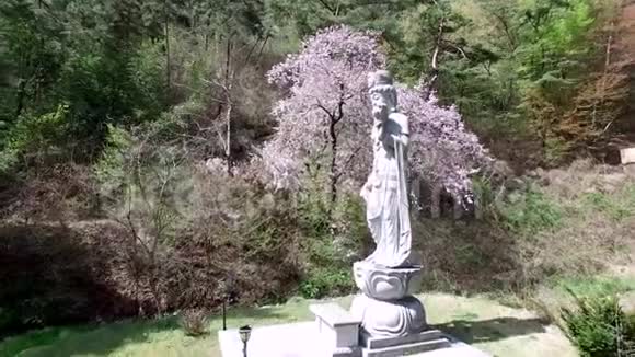 韩国亚洲达米扬约南延东萨佛寺的鸟瞰图视频的预览图