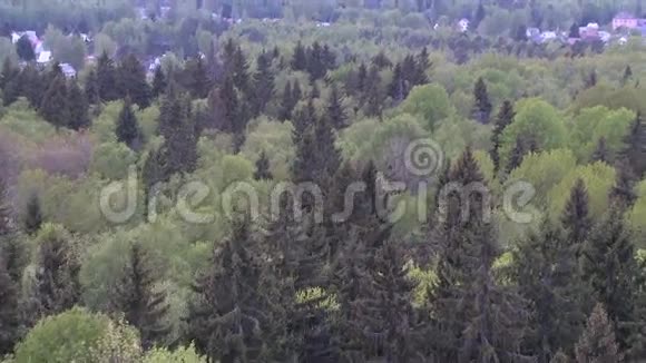 鸟s眼在一个小村庄附近的森林上空飞行视频的预览图