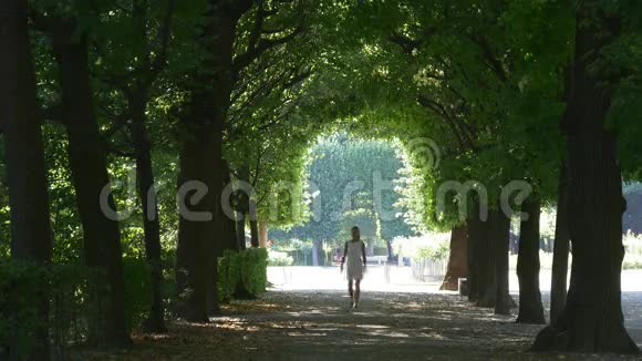 景观设计在树拱下散步视频的预览图