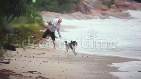 快乐微笑的年轻人玩狗坚持在热带海滩1920x1080视频的预览图