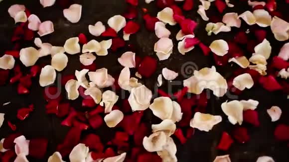 餐厅地板上的白色和红色玫瑰花瓣视频的预览图