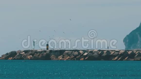 人去灯塔在它周围飞翔一群海鸥在海滩上直布罗陀西班牙视频的预览图