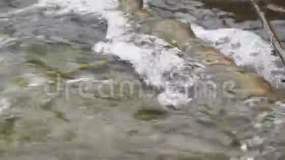 溪流中的水流经一个木制的障碍物视频的预览图
