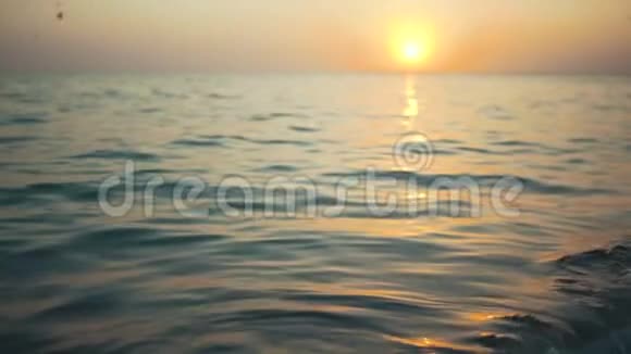 美丽的日落或日出在宁静的海洋上海鸥飞翔视频的预览图