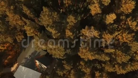 平纹树的鸟瞰图从上面看森林的房子视频的预览图